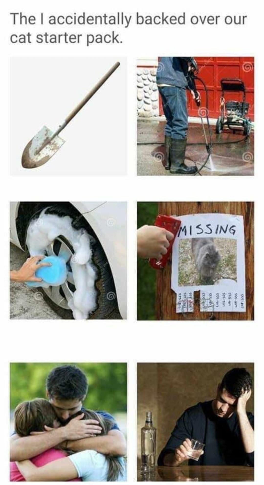 The accidentally backed over our cat starter pack