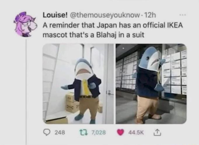 themouseyouknow 12h A reminder that Japan has an official IKEA mascot thats a Blahaj in a suit 17