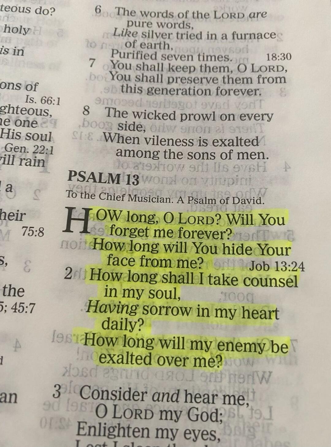HOW long, O LORD? Will You forget me forever? How long will You hide Your face from me? How long shall I take counsel in my soul, Having sorrow in my heart daily? How long will my enemy be exalted over me?