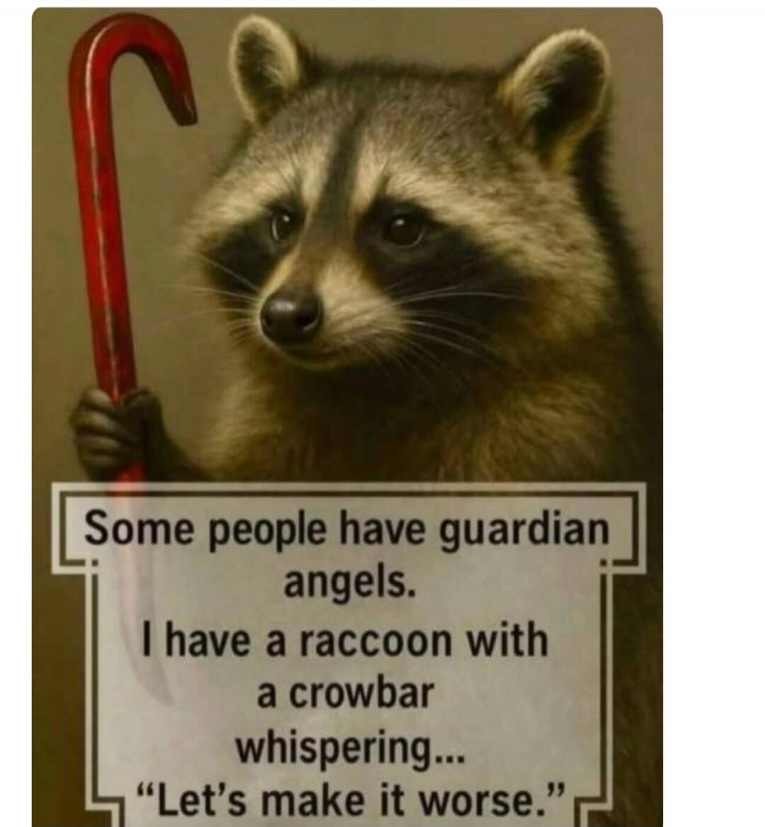 Some people have guardian angels. I have a raccoon with a crowbar whispering... 