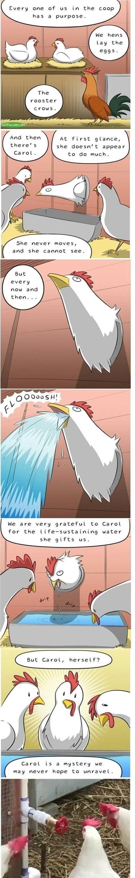 Every one of us in the coop has a purpose rooster crows And then At first glance theres she doesnt appear Carol to do much She never moves and she cannot see r O O0oosH i S We are very grateful to Carol for the life sustaining water she gifts us Carol is a mystery we may never hope to unravel