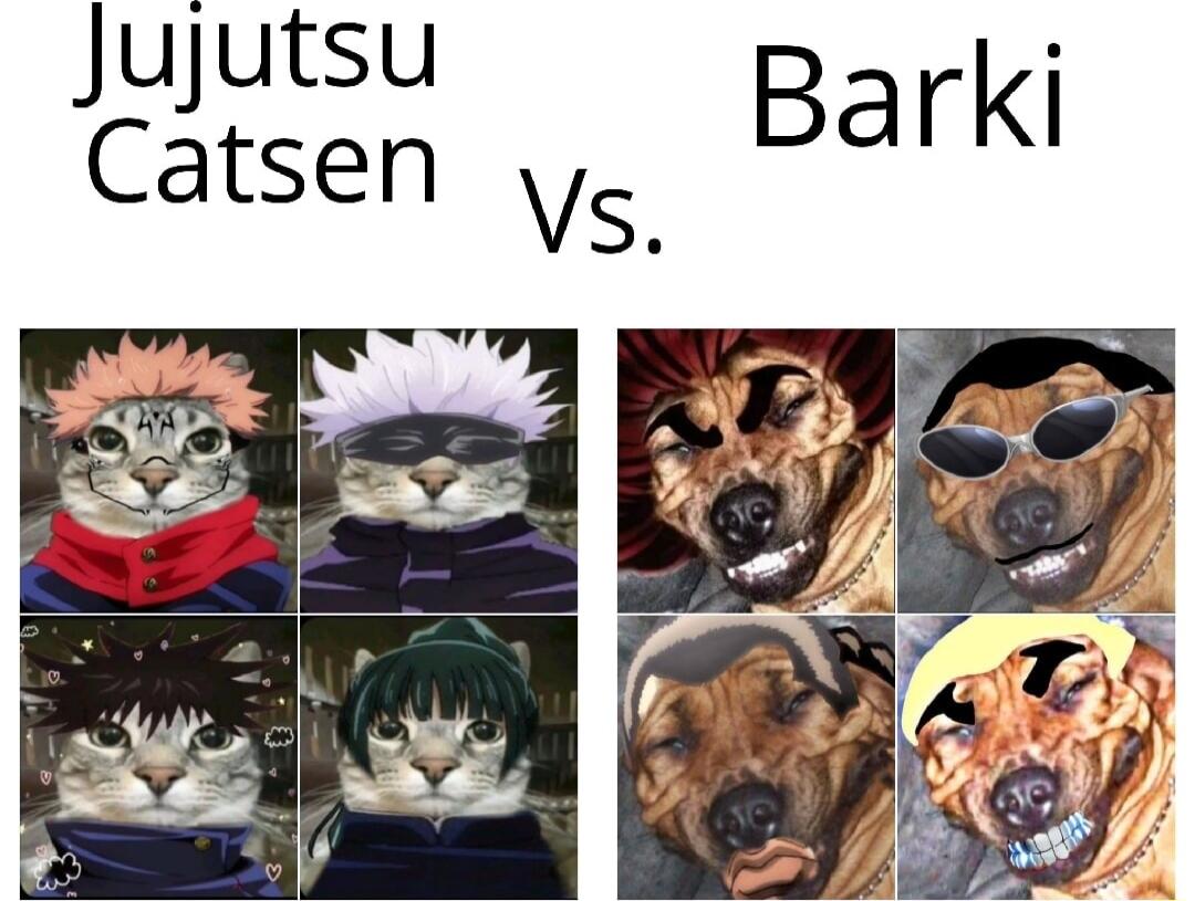 Jujutsu Barki Catsen Vs
