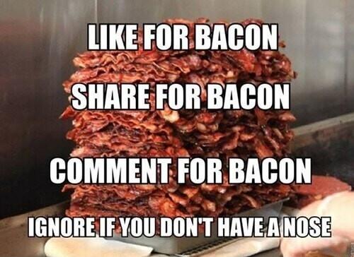 sl i S RN uxaronnncou SHARE FORBACON COMMENT FOR BACON IEIIIIIIE IfilllllIlll_W