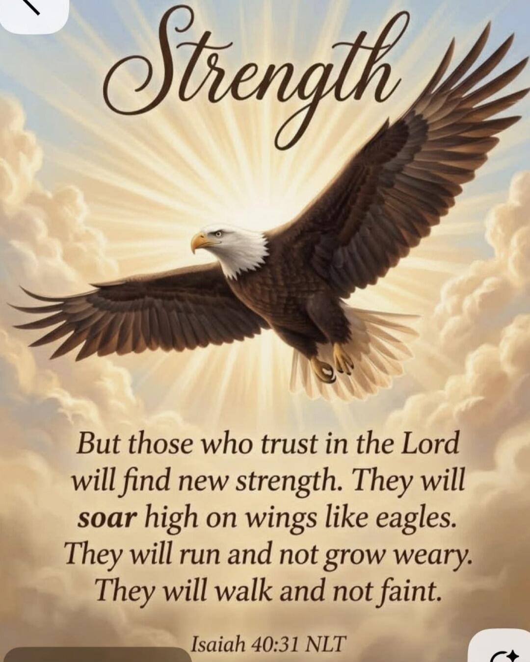 Strength. But those who trust in the Lord will find new strength. They will soar high on wings like eagles. They will run and not grow weary. They will walk and not faint. Isaiah 40:31 NLT