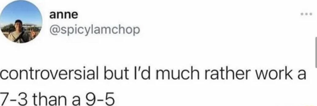 anne spicylamchop controversial but Id much rather work a 7 3than a 9 5