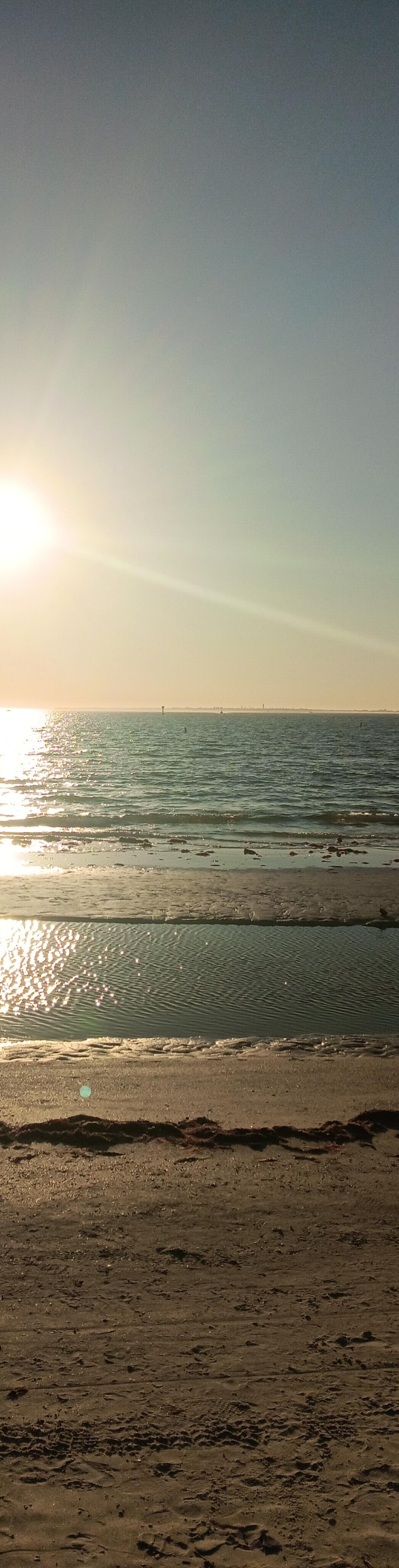 Session ID: 1014682.