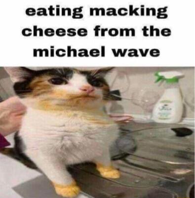 eating macking cheese from the michael wave