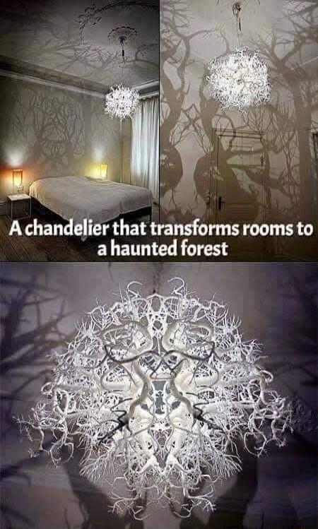 A chandelier that transforms rooms to ahaunted fores