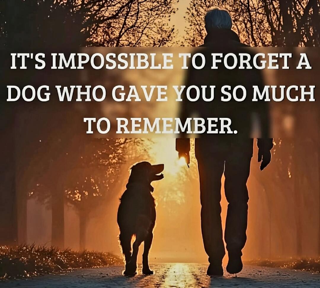 It's impossible to forget a dog who gave you so much to remember.