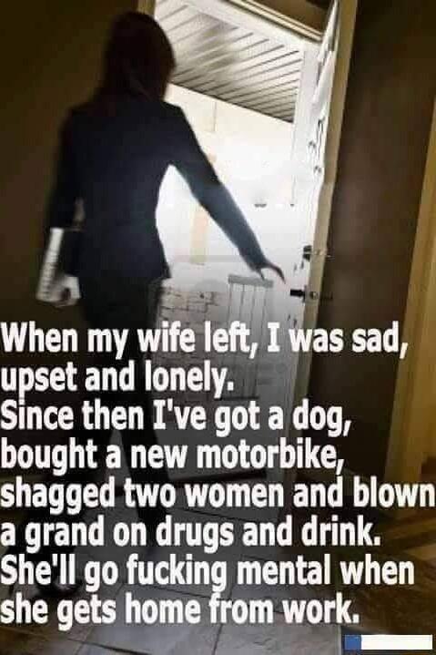 M When my wife left upset and lonely Since then Ive got a dog bought a new motorbike shagged two women and blown a grand on drugs and drink Shell go fucking mental when she gets home from work s Was sad
