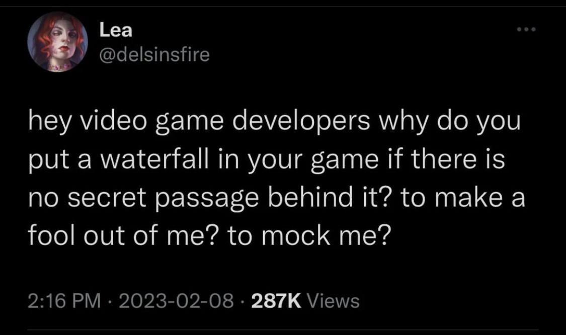 Lea delsinsfire hey video game developers why do you put a waterfall in your game if there is no secret passage behind it to make a fool out of me to mock me 216 PM 2023 02 08 287K Views