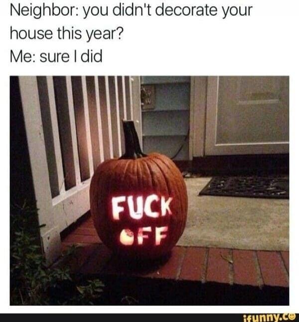 Neighbor: you didn't decorate your house this year? Me: sure I did FUCK OFF