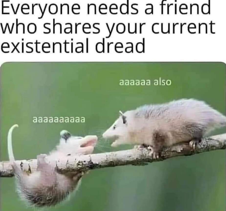 veryone needs a who shares your current existential dread