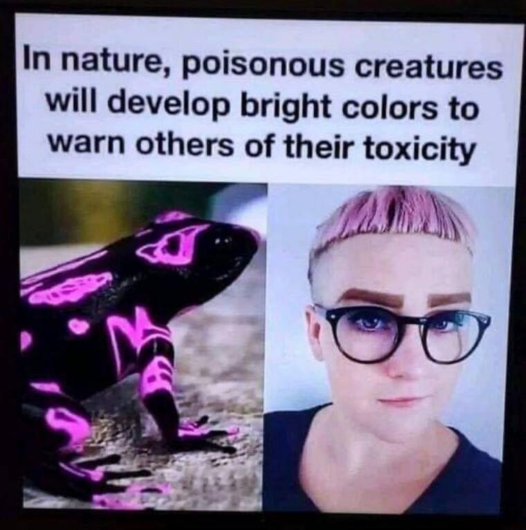 In nature poisonous creatures will develop bright colors to warn others of their toxicity