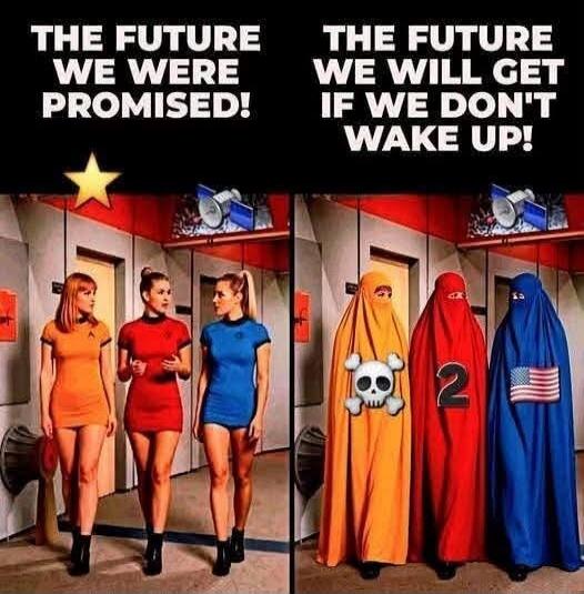 THE FUTURE WE WERE PROMISED! THE FUTURE WE WILL GET IF WE DON'T WAKE UP!
