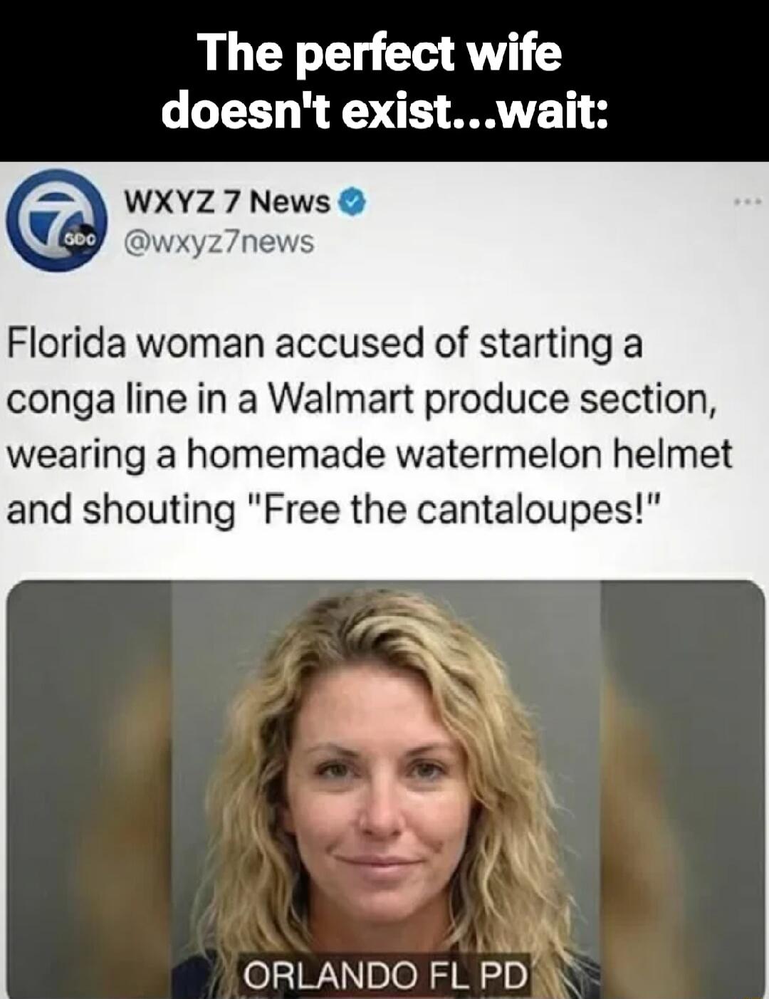 The perfect wife doesn't exist...wait:
Florida woman accused of starting a conga line in a Walmart produce section, wearing a homemade watermelon helmet and shouting 