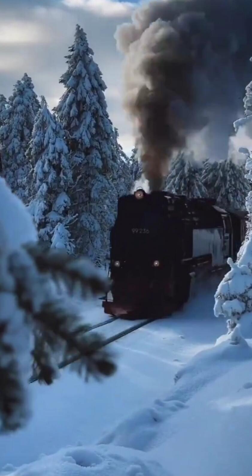 A steam locomotive runs through a snow-covered forest, emitting dark smoke from its stack as it travels along the tracks.