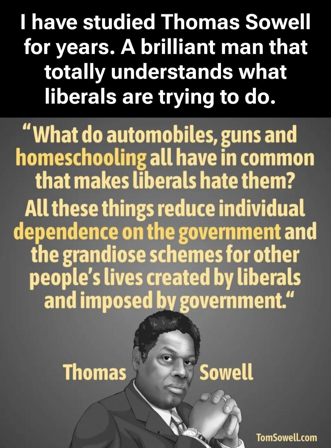 I have studied Thomas Sowell for years. A brilliant man that totally understands what liberals are trying to do. 