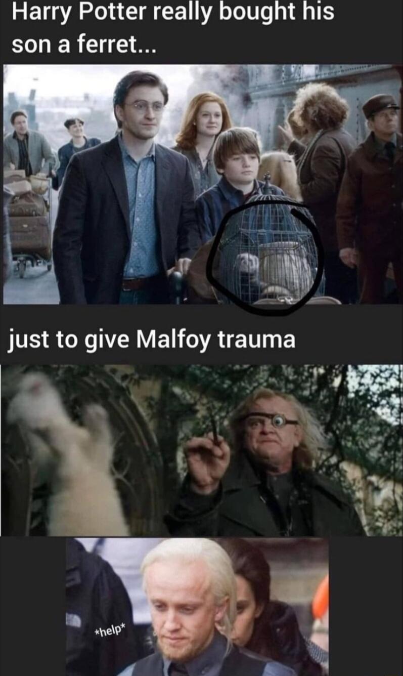 Harry Potter really bought his son a ferret Ny just to give Malfoy LETE