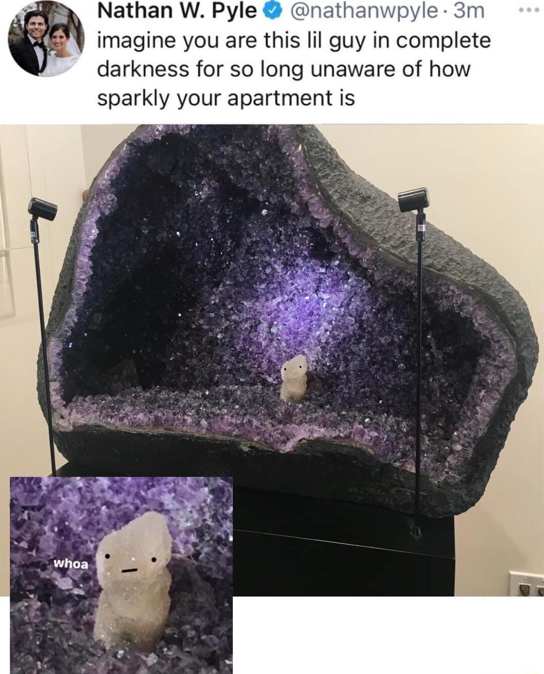 Nathan W Pyle v imagine you are this lil guy in complete darkness for so long unaware of how sparkly your apartment is