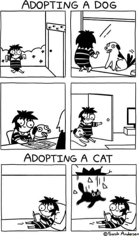 ADOPTING A DOG