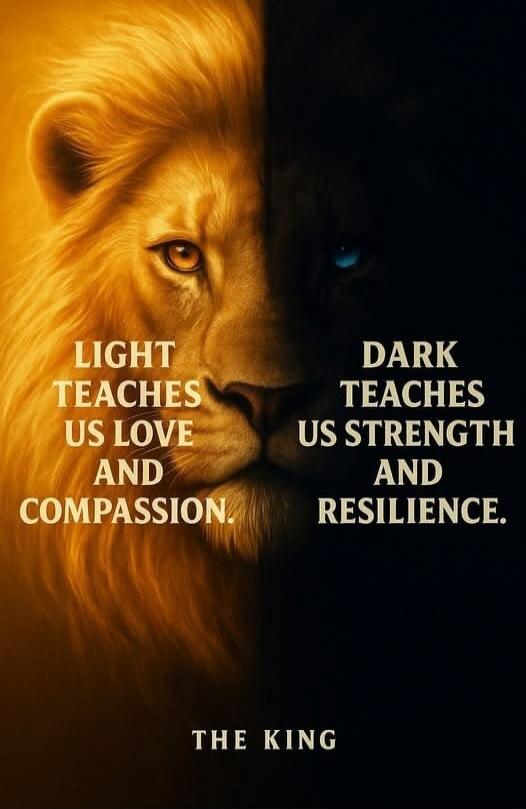 LIGHT TEACHES US LOVE AND COMPASSION. DARK TEACHES US STRENGTH AND RESILIENCE. THE KING