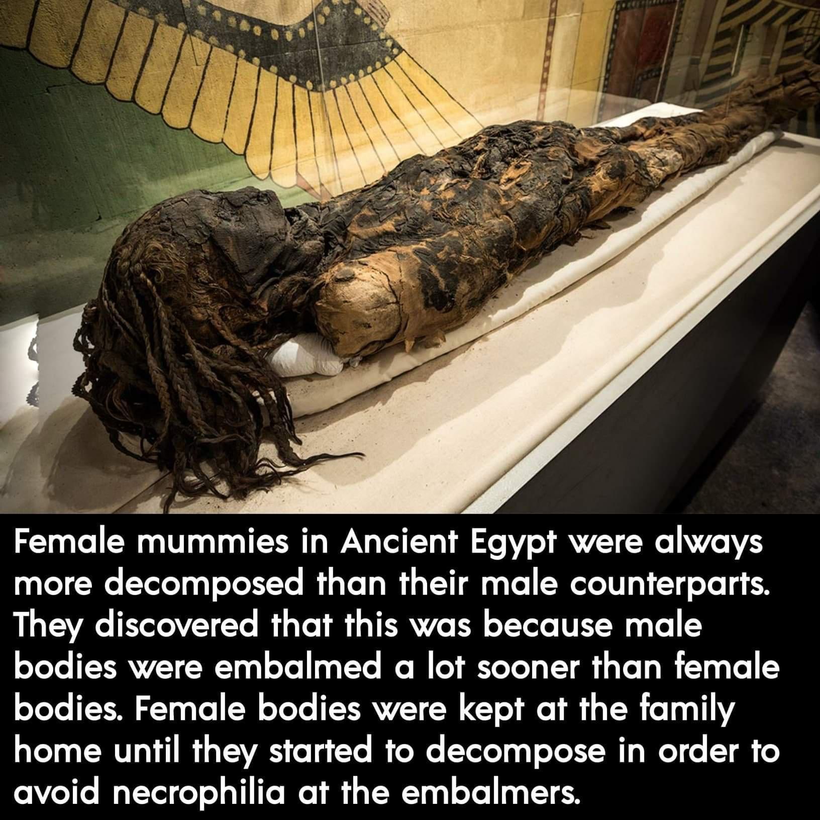 Female mummies in Ancient Egypt were always more decomposed than their male counterparts They discovered that this was because male oYeTe RV W10 0 oo 1Yo I TR YeTeTa VT g Vo W 100 o oYeTe N T Y0 1 To 1 0 o Yo Yo TXRVZY W Y o 8 2 T R o 10011 home until they started to decompose in order to avoid necrophilia at the embalmers