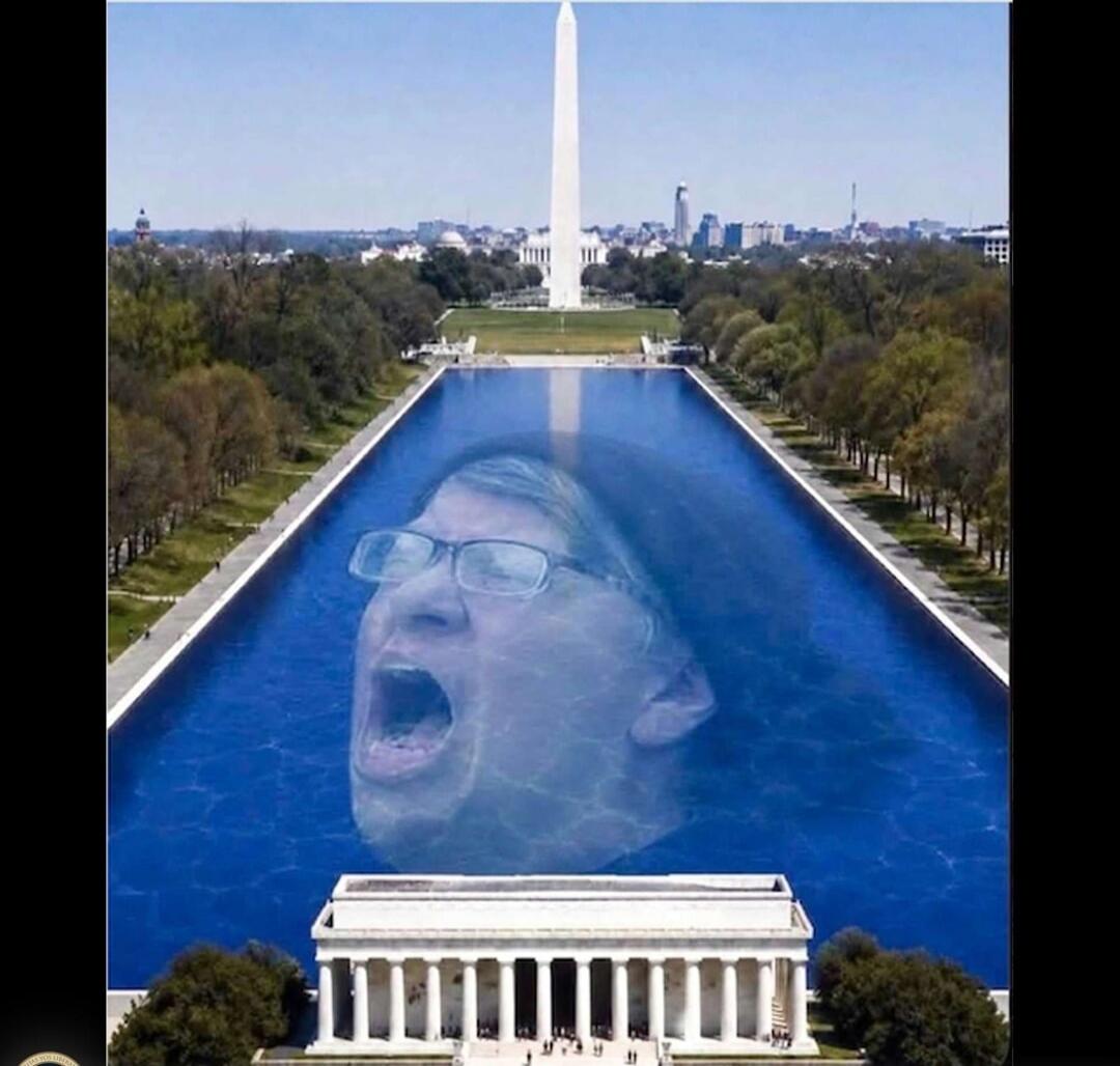 A person's screaming face is photoshopped into the Lincoln Memorial Reflecting Pool in Washington D.C., with the Washington Monument in the background.