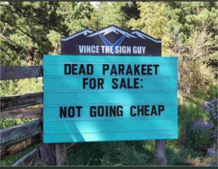 VINCE THE SIGN GUY DEAD PARAKEET FOR SALE: NOT GOING CHEAP