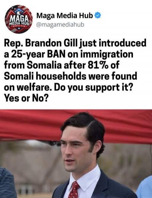 Maga Media Hub @magamediahub Rep. Brandon Gill just introduced a 25-year BAN on immigration from Somalia after 81% of Somali households were found on welfare. Do you support it? Yes or No?