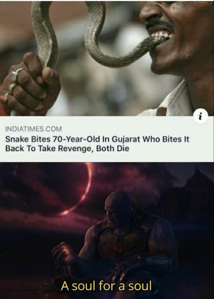 Snake Bites 70 Year Old In Gujarat Who Bites It Back To Take Revenge Both Die A soul for a soul