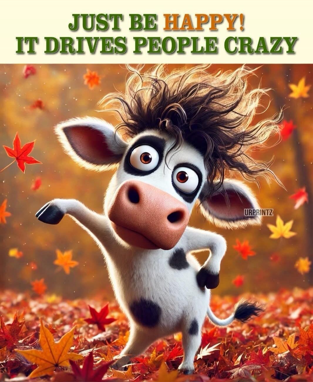 JUST BE HAPPY! IT DRIVES PEOPLE CRAZY
