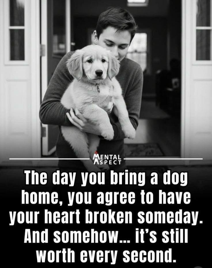 MENTAL ASPECT The day you bring a dog home, you agree to have your heart broken someday. And somehow... it's still worth every second.