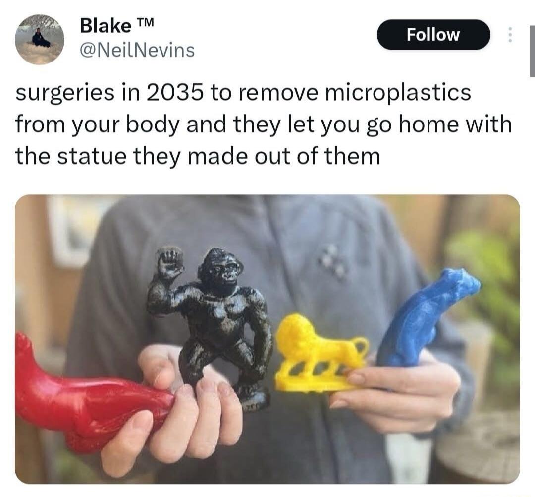 Blake ™ @NeilNevins Follow surgeries in 2035 to remove microplastics from your body and they let you go home with the statue they made out of them