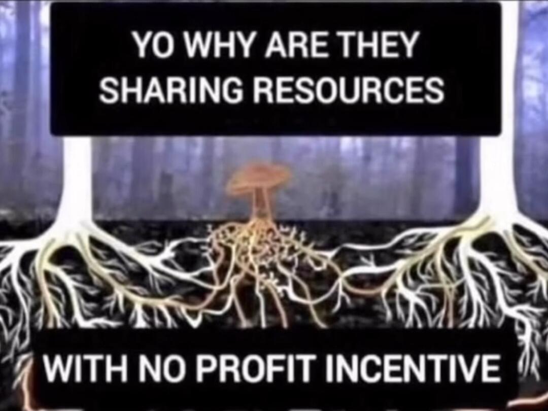 YO WHY ARE THEY SHARING RESOURCES KWITH NO PROFIT INCENTIVE