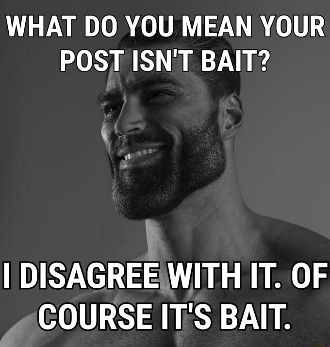 WHAT DO YOU MEAN YOUR POST ISNT BAIT i DISAGREEWITH IT OF COURSE ITS BAIT