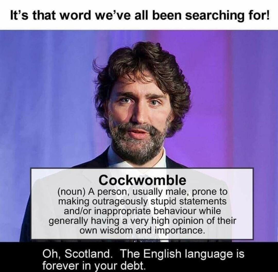 Its that word weve all been searching for Cockwomble noun A person usually male prone to making outrageously stupid statements andor inappropriate behaviour while generally having a very high opinion of their own wisdom and importance O RSTeTeHE T To M N T Ty To IS ME T Te VT TR Y forever in your debt