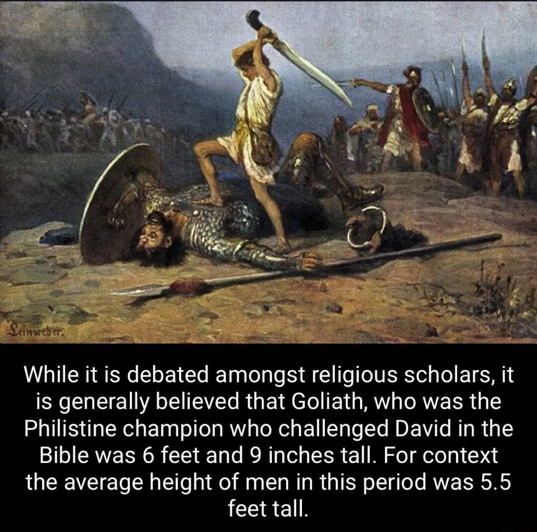 While it is debated amongst religious scholars it is generally believed that Goliath who was the Philistine champion who challenged David in the Bible was 6 feet and 9 inches tall For context the average height of men in this period was 55 feet tall