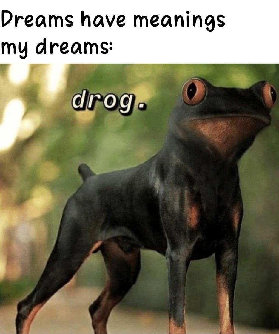 Dreams have meanings my dreams