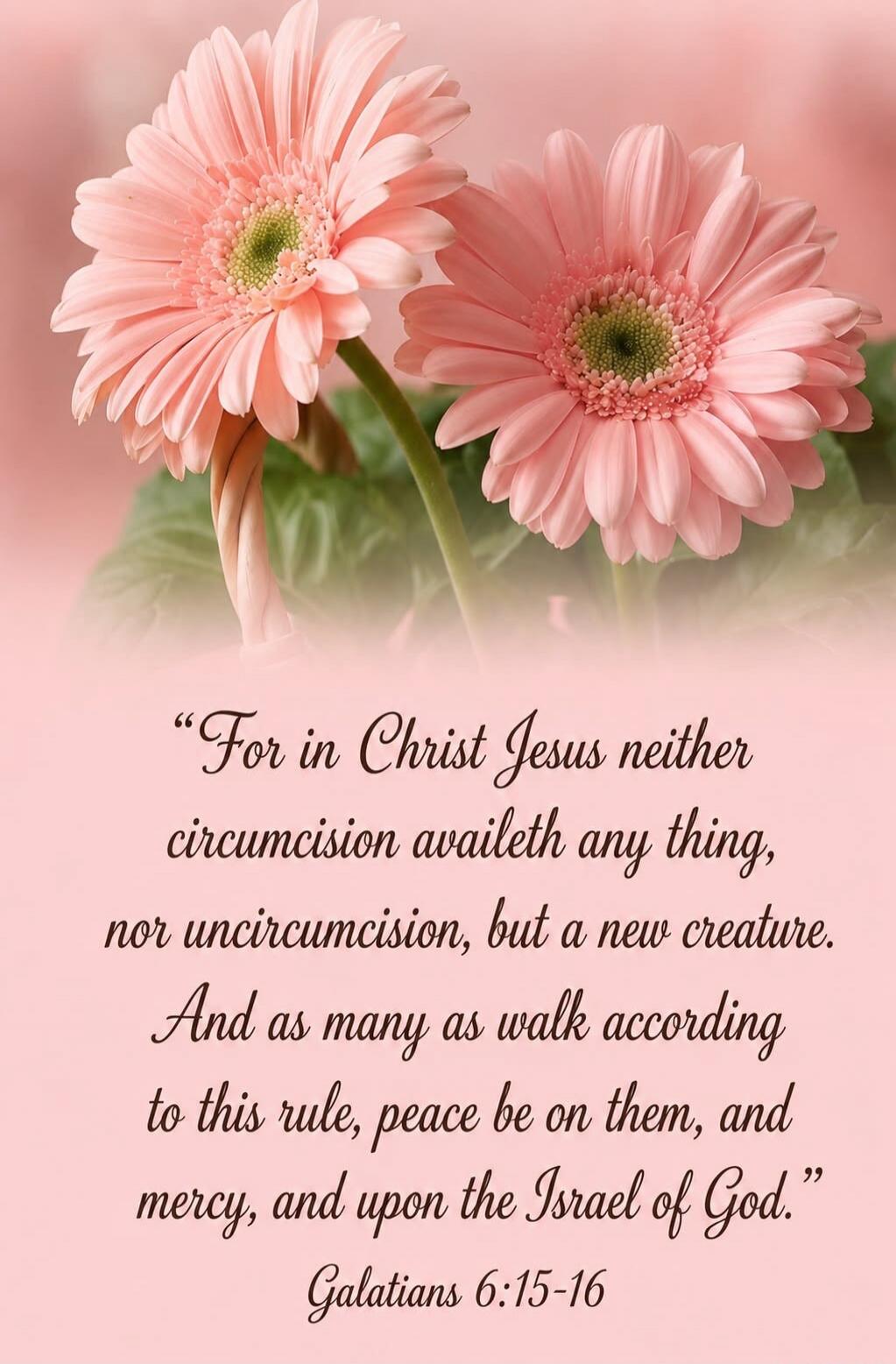 “For in Christ Jesus neither circumcision availeth any thing, nor uncircumcision, but a new creature. And as many as walk according to this rule, peace be on them, and mercy, and upon the Israel of God.” Galatians 6:15-16