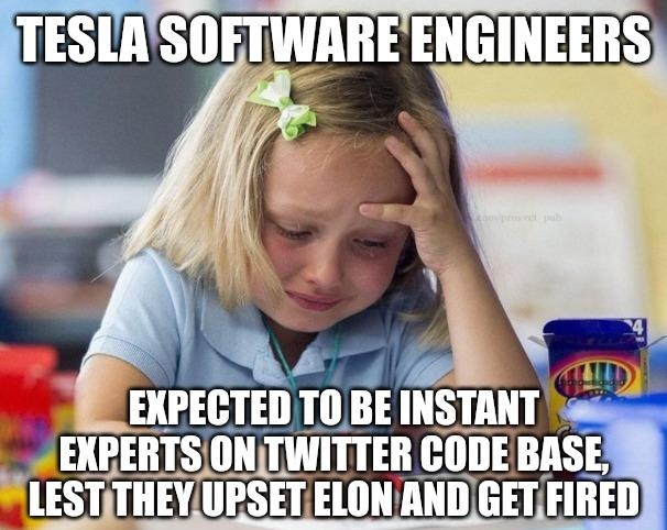 EXPECTED TO BE INSTANT et SIONTWITTER CODE BASE UPSET ELON ANDGETFIRED