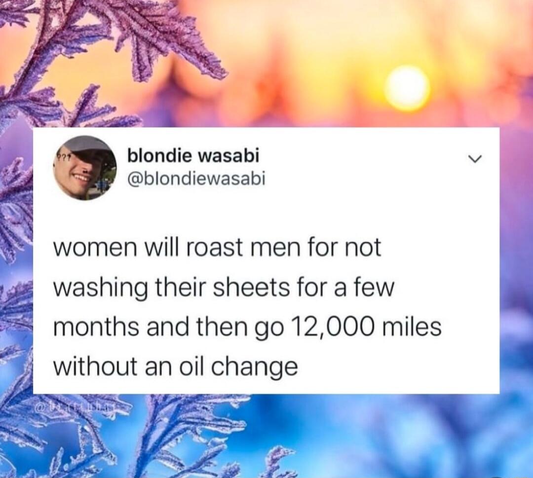 blondie wasabi v blondiewasabi women will roast men for not washing their sheets for a few months and then go 12000 miles without an oil change