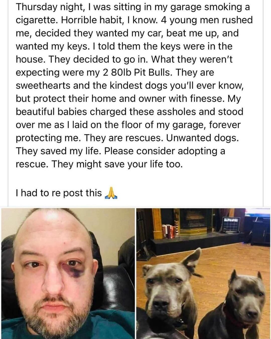 Thursday night was sitting in my garage smoking a cigarette Horrible habit know 4 young men rushed me decided they wanted my car beat me up and wanted my keys told them the keys were in the house They decided to go in What they werent expecting were my 2 80lb Pit Bulls They are sweethearts and the kindest dogs youll ever know but protect their home and owner with finesse My beautiful babies charge