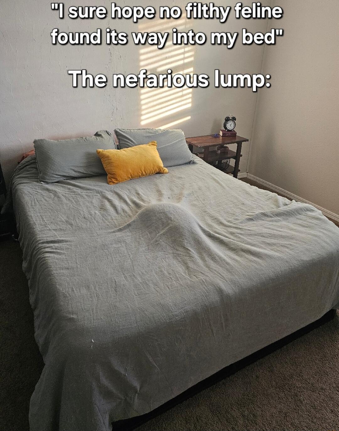 slisurelhopelnoffilthyjifeline founditsiwaylintolmyibed e N EHoUs