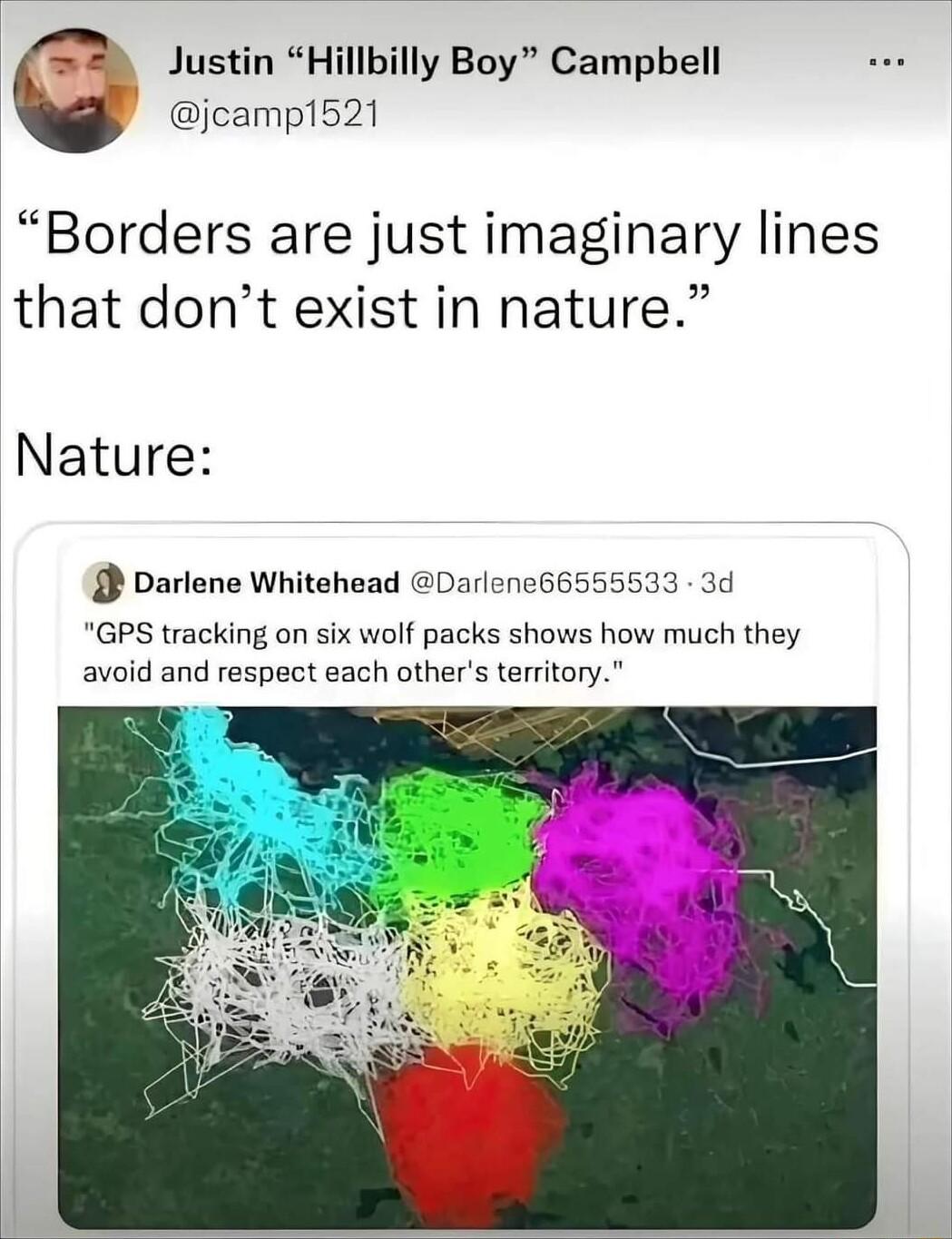 Justin Hillbilly Boy Campbell jcamp1521 Borders are just imaginary lines that dont exist in nature Nature Darlene Whitehead Darlene66555533 3d GPS tracking on six wolf packs shows how much they avoid and respect each others territory