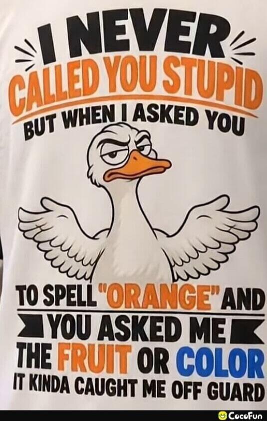 I NEVER CALLED YOU STUPID BUT WHEN I ASKED YOU TO SPELL 