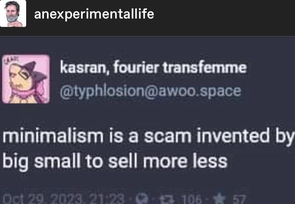 anexperimentallife minimalism is a scam invented by big small to sell more less kasran fourier transfemme GRS T R E T
