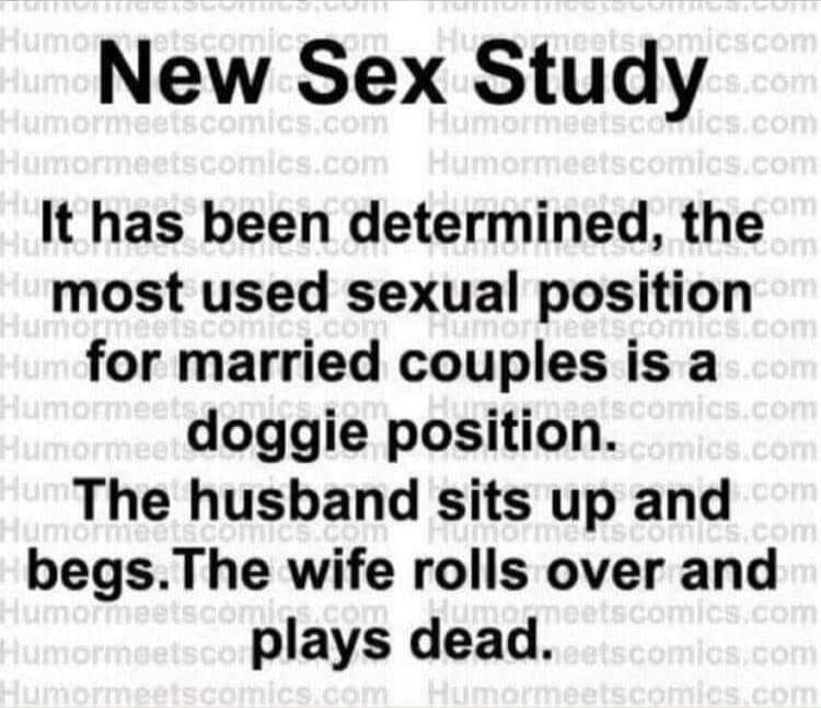 New Sex Study: It has been determined, the most used sexual position for married couples is a doggie position. The husband sits up and begs. The wife rolls over and plays dead.