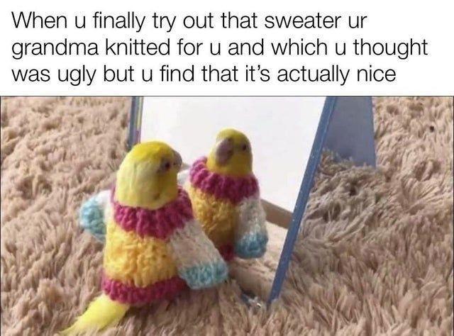 When u finally try out that sweater ur grandma knitted for u and which u thought was ugly but u find that its actually nice