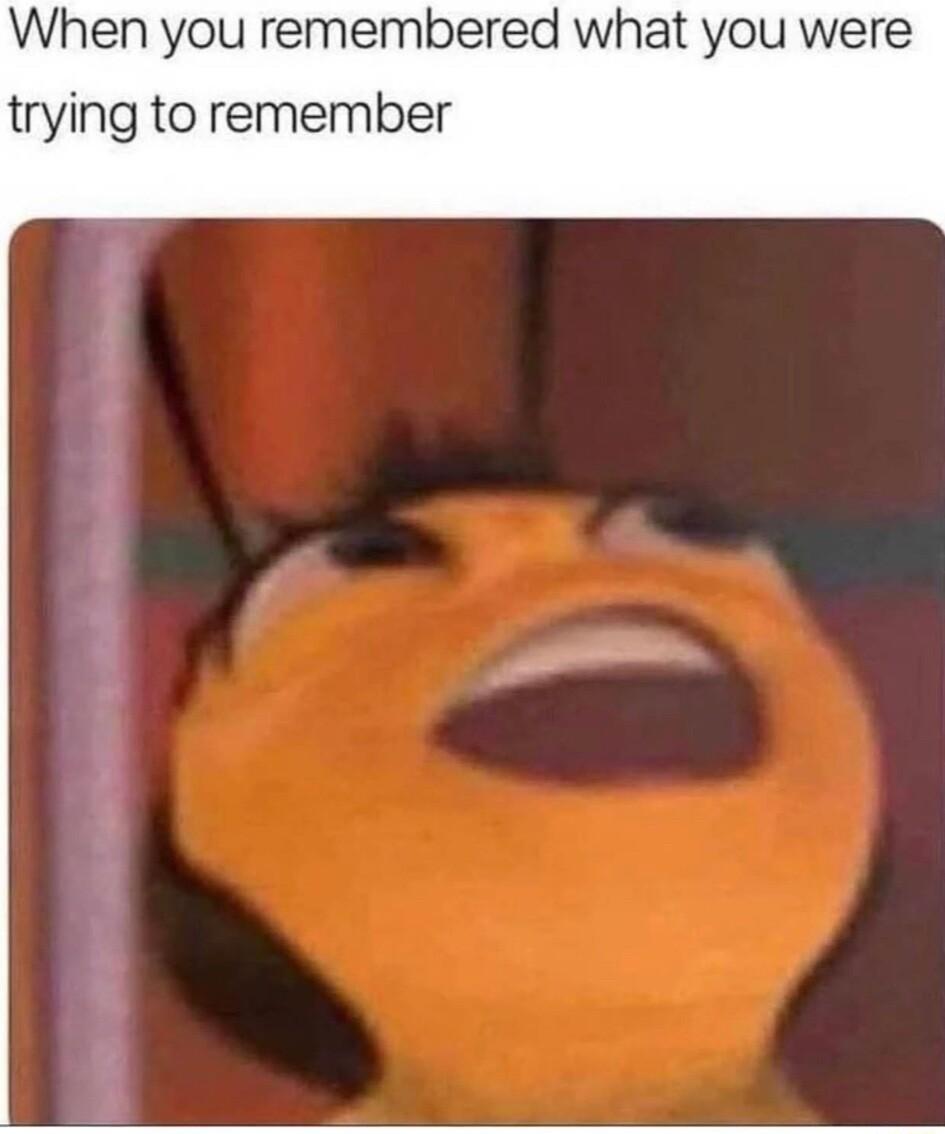 When you r mbered what you were trying to remember